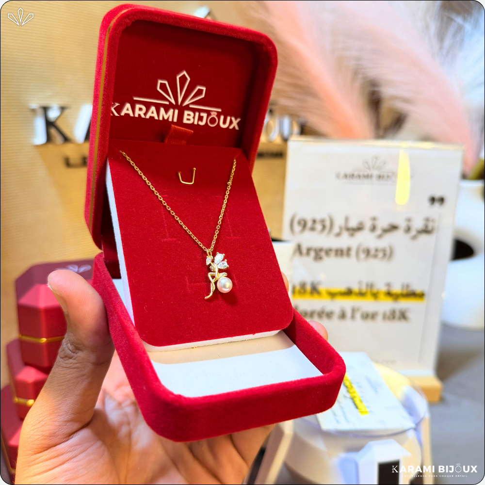 Collier Amiira en argent 925 dorée à l’or 18K